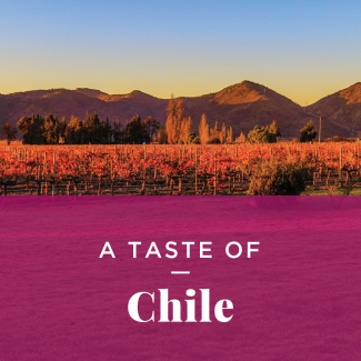 taste of Chile