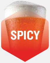 Spicy Flavour Beer