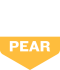 Infographic depicting tasting profile: Pear
