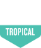 Infographic depicting tasting profile: Tropical