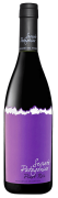 Secreto Patagonico Pinot Noir