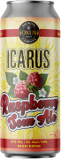 Oxus Brewing Icarus Raspberry Sour Ale